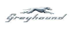 Greyhound